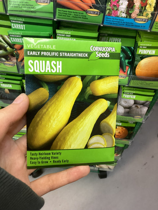 Early Straight Neck Squash