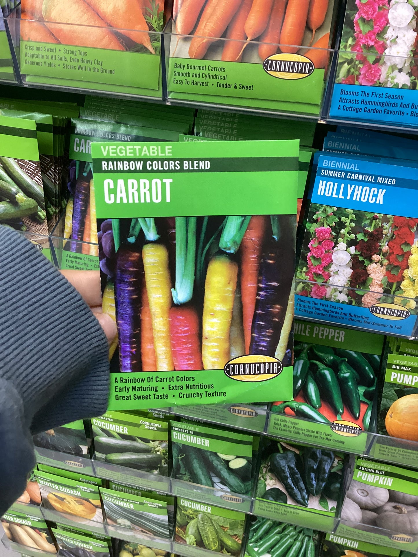Rainbow Colors Blend Carrot