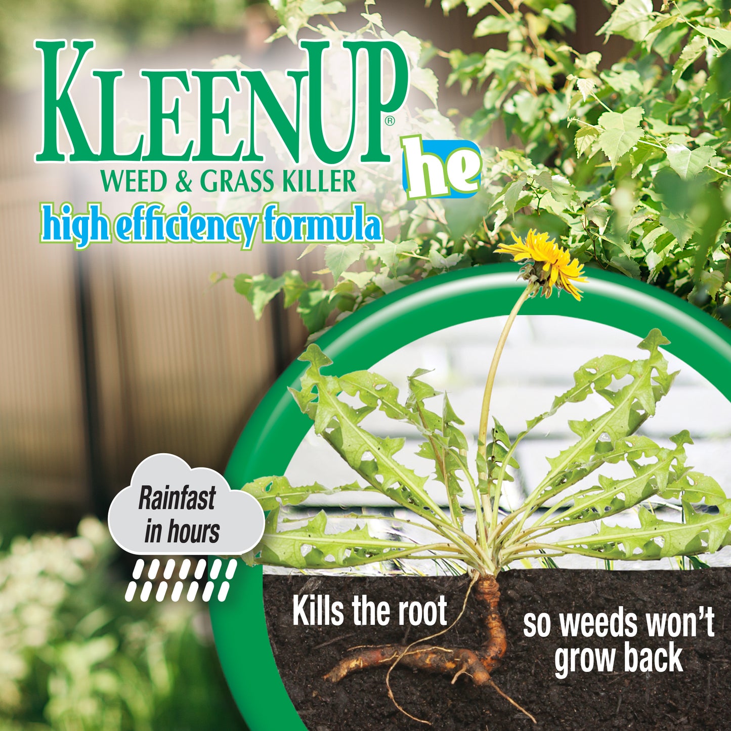 Bonide Kleen Up Weed & Grass Killer HE