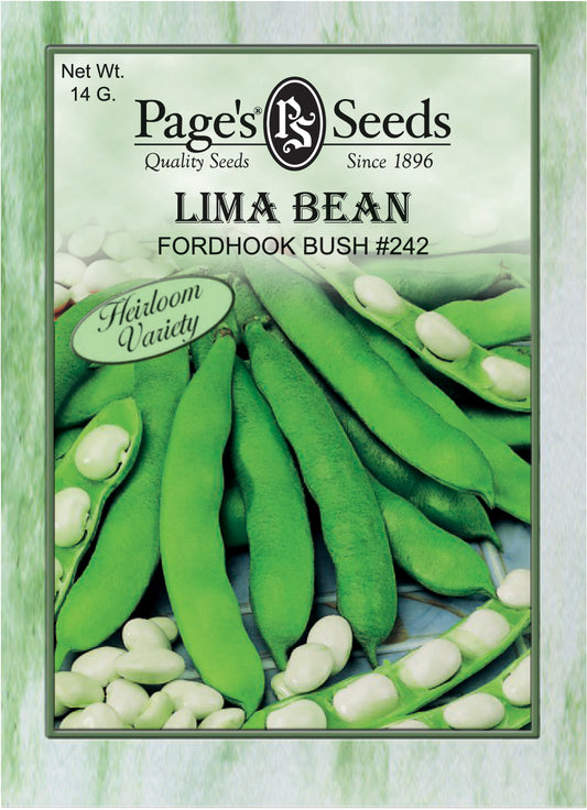Lima Bean