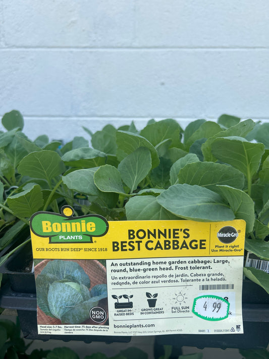 Bonnie’s Best Cabbage