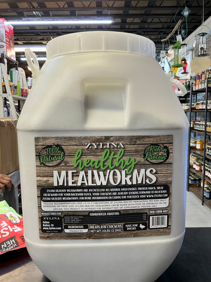 Zylina Healthy Mealworm 20lbs