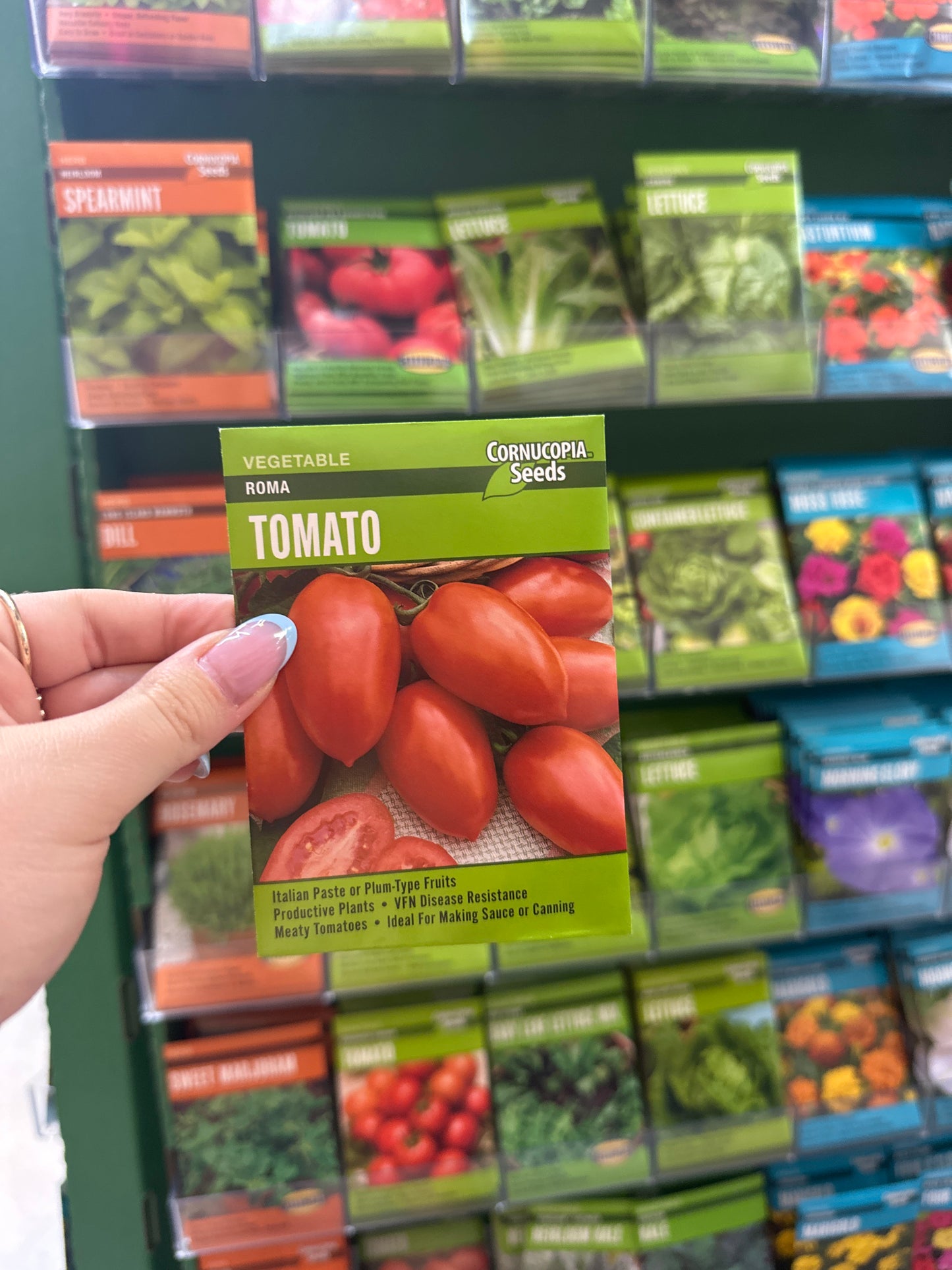 Roma Tomato