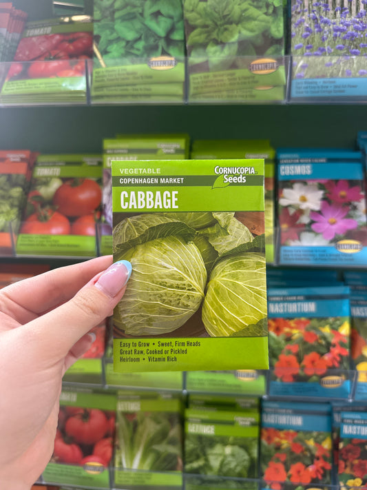 Copenhagen Market Cabbage