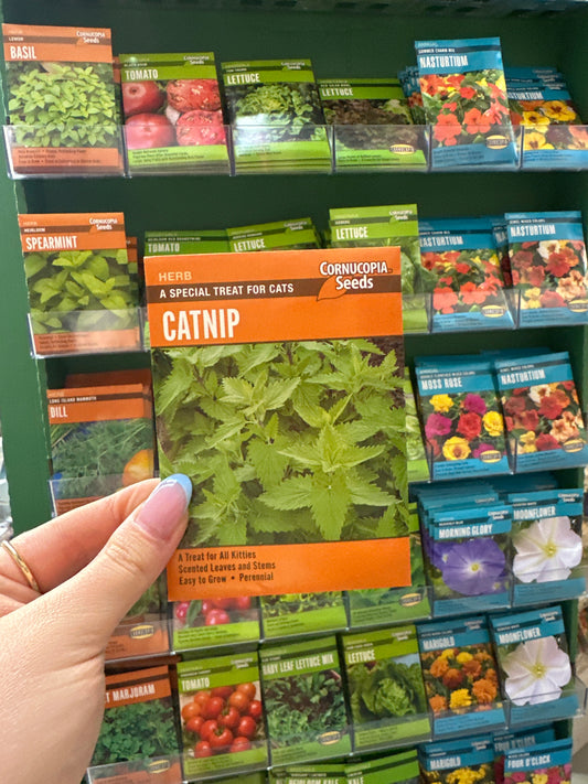 Catnip