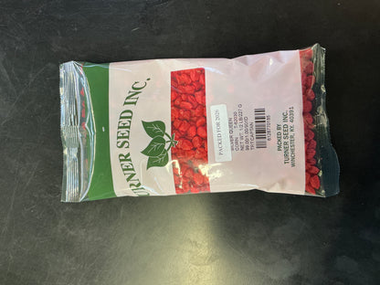 Silver Queen Corn Seed