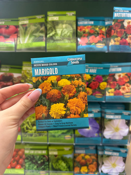 Petite Mixer Colors Marigold