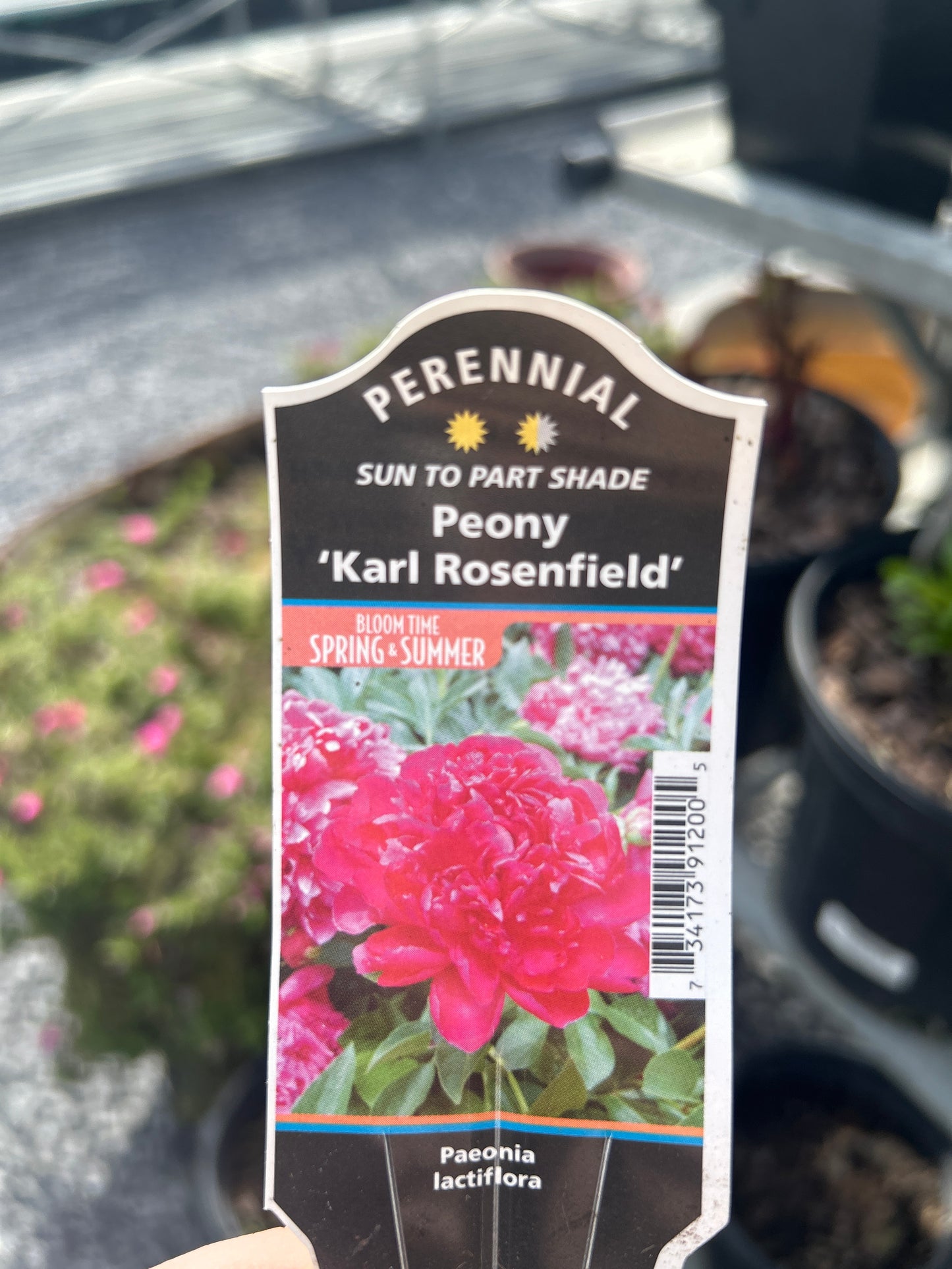 Peony 2G
