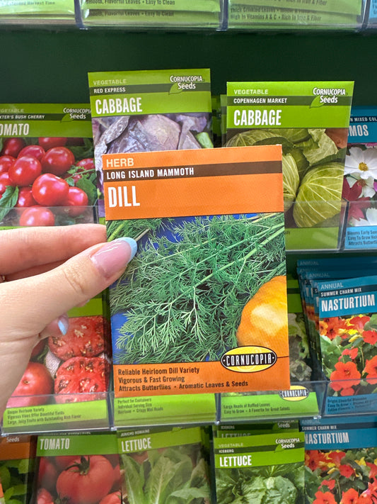 Long Island Mammoth Dill