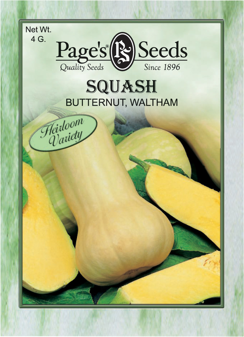 Butternut Squash