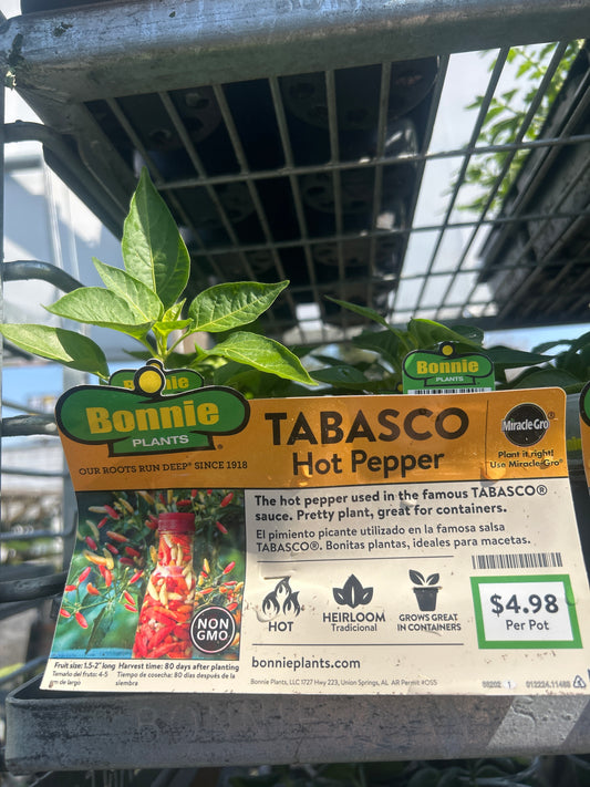 Tabasco Hot Pepper Bonnie Cup