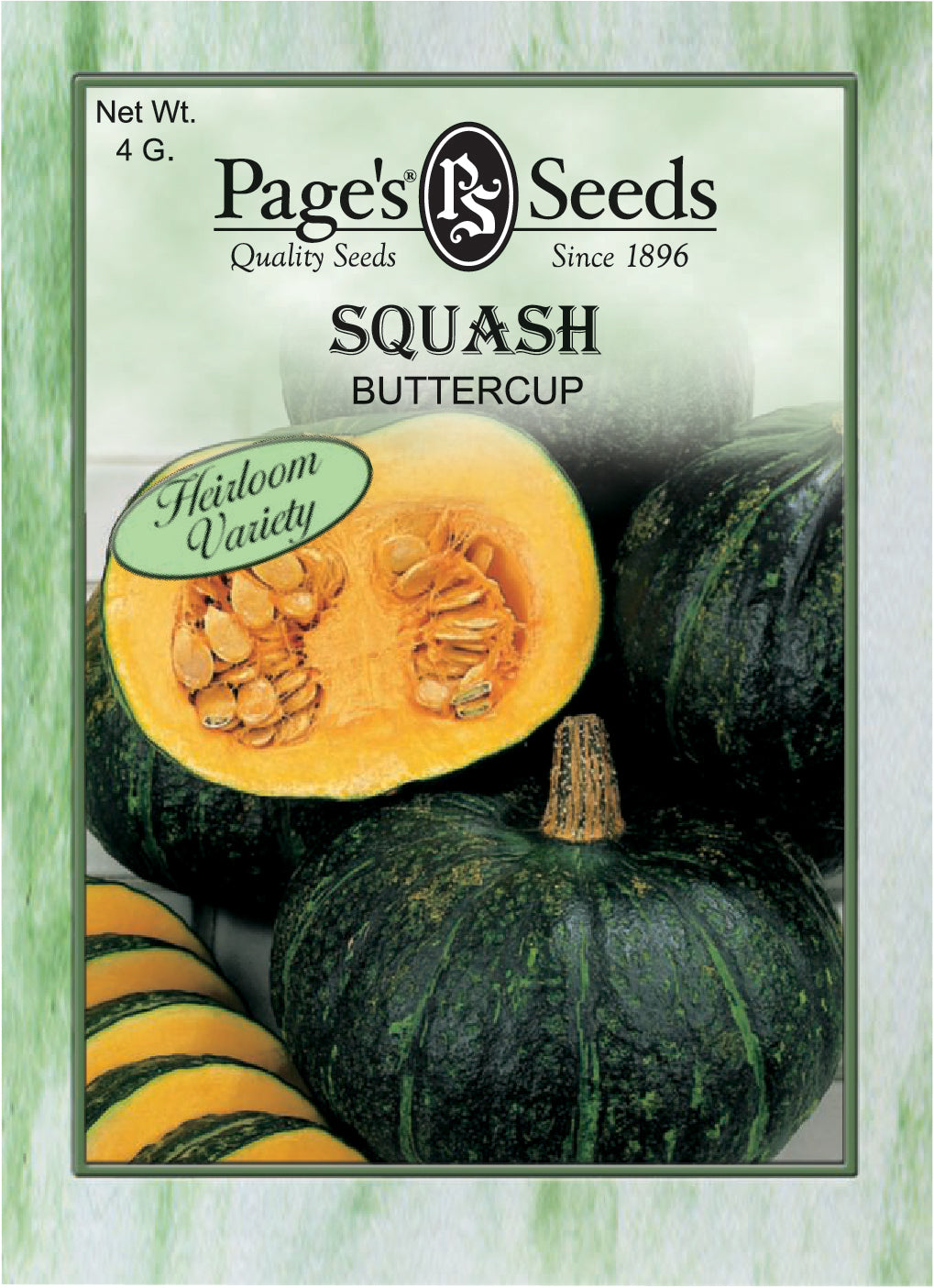 Buttercup Squash