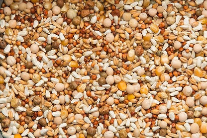 Purgrain Breeder Conditioner 16% POPCORN