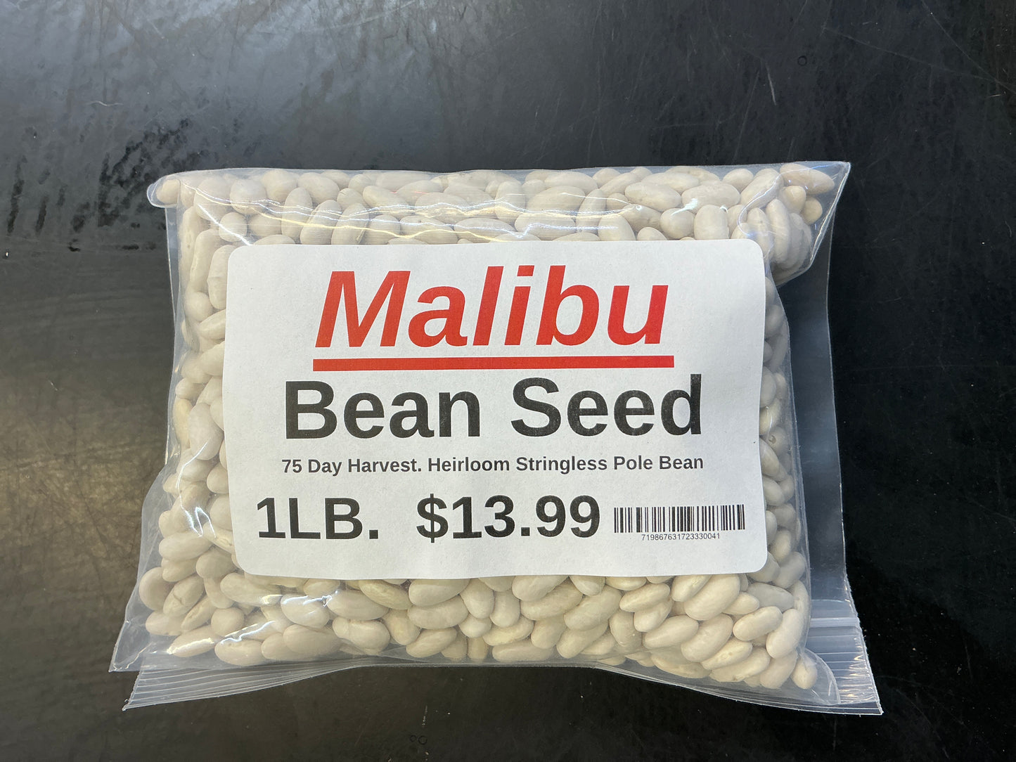 Malibu Bean Seed