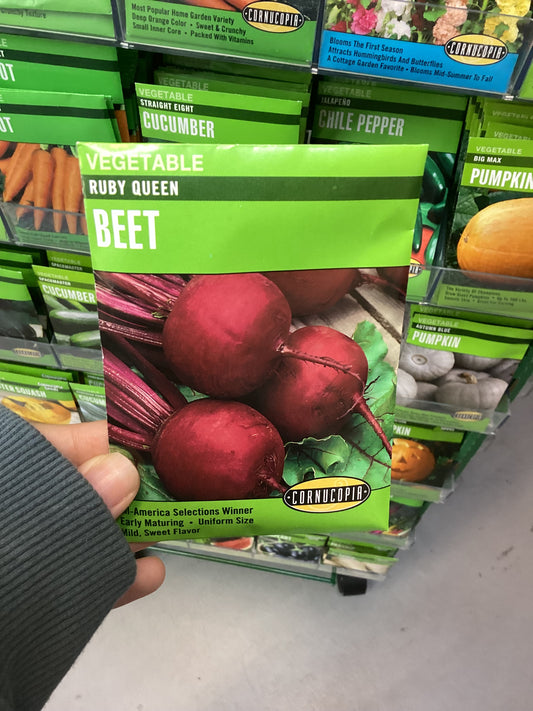 Ruby Queen Beet