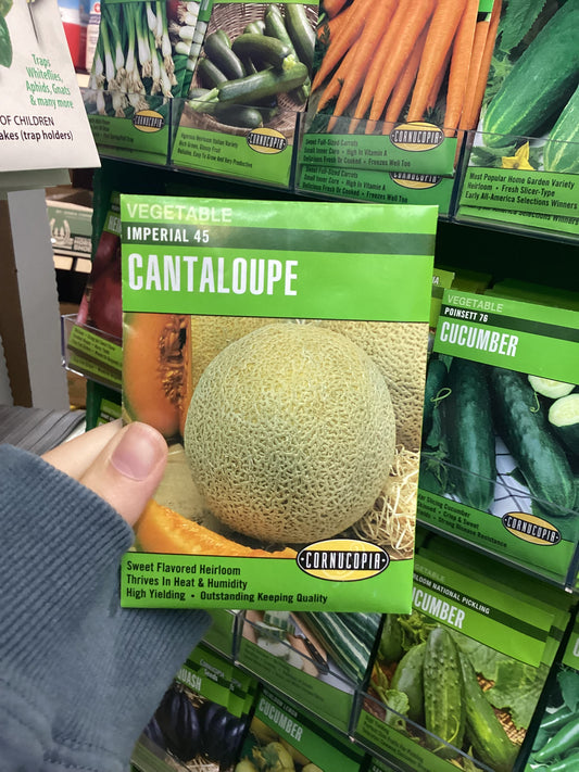 Imperial 45 Cantaloupe