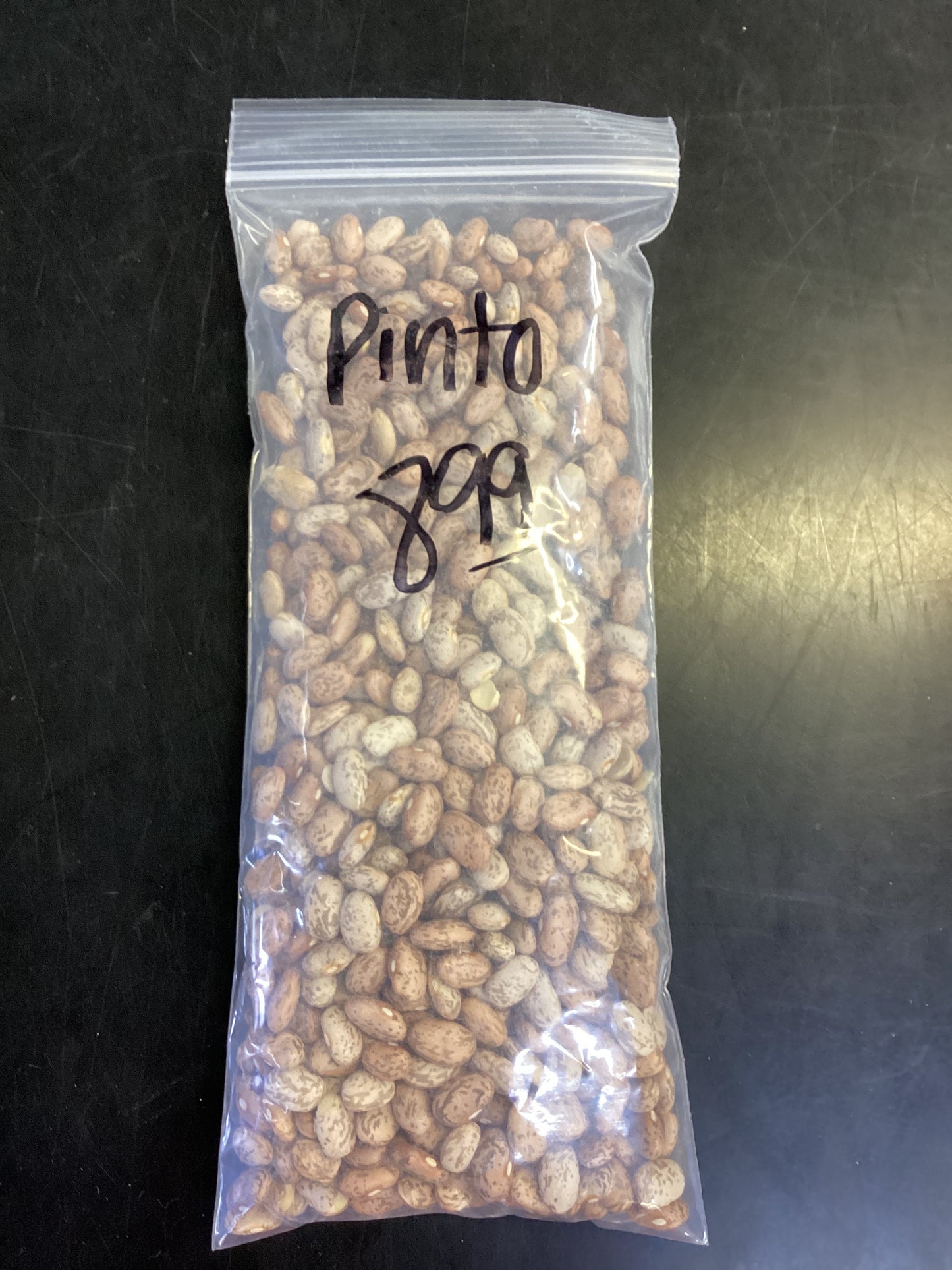 Pinto Beans