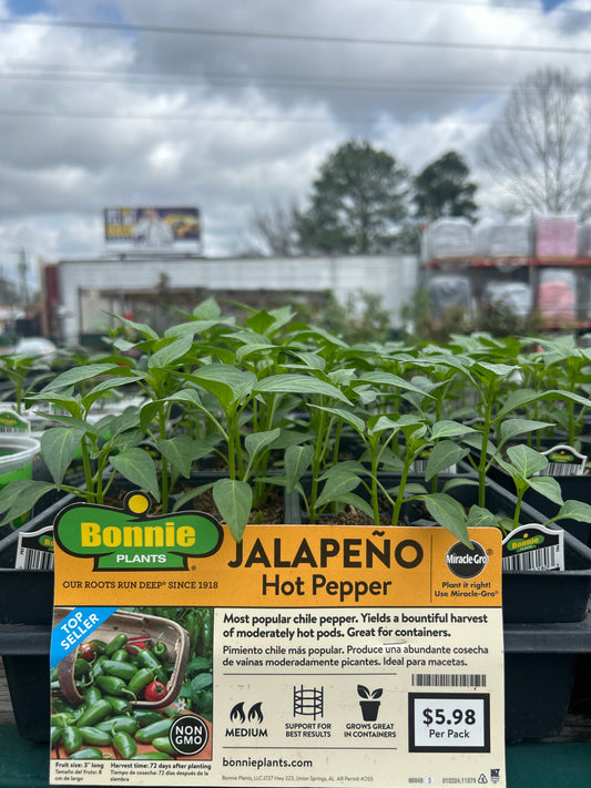 Jalepeño Hot Pepper Bonnie 6 pack