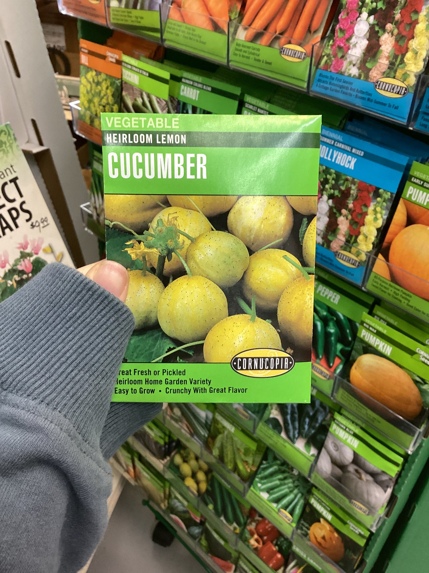 Pepino limón reliquia