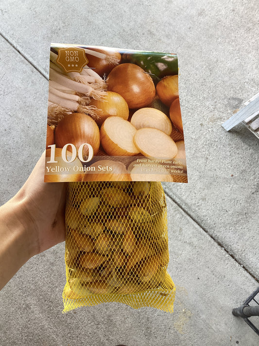 Yellow onion sets