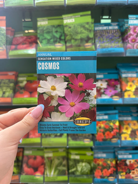 Sensation Mixed Colors Cosmos