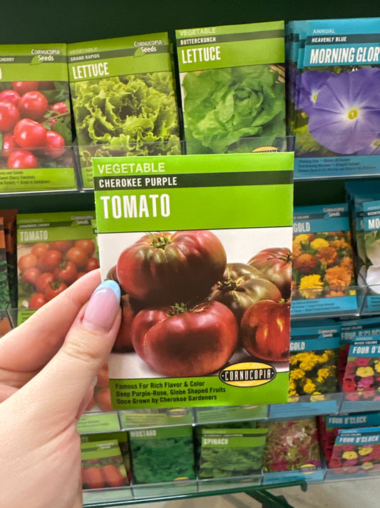 Cherokee Purple Tomato