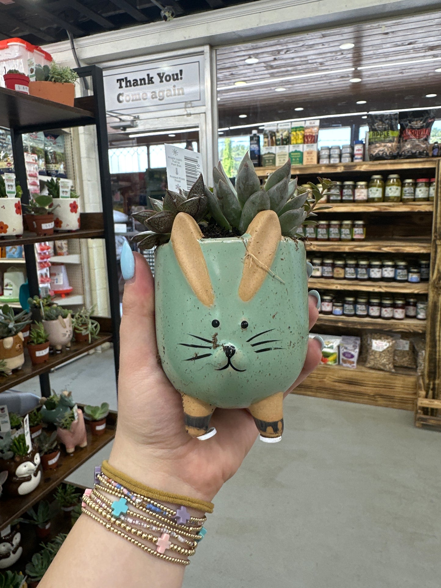 Ceramic Bunny Succulent 3”