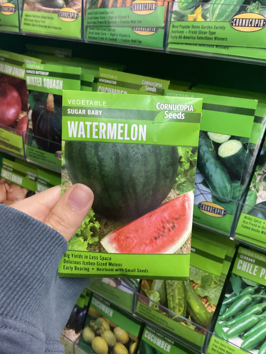 Sugar Baby Watermelon