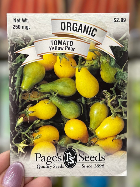 Organic Yellow Pear Tomato Seed