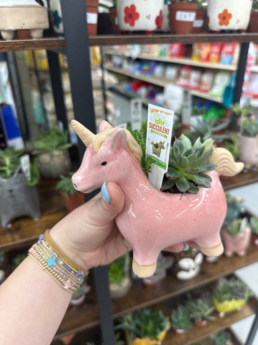 Stone Unicorn Succulent 5”