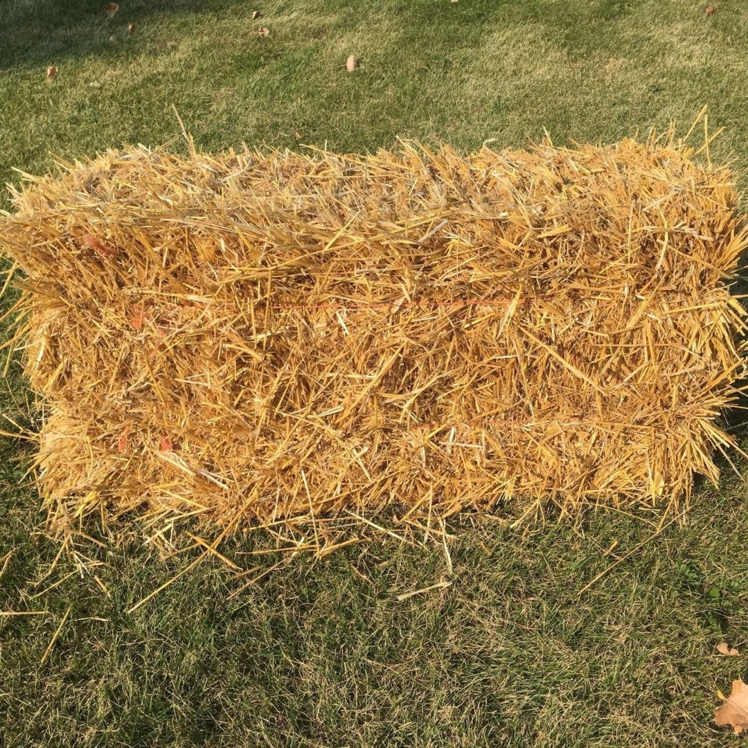 Wheat Straw