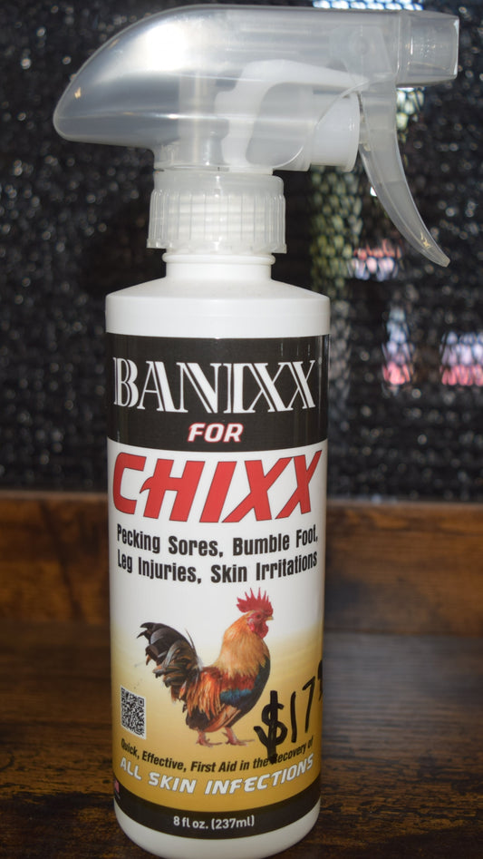 Banixx Chixx