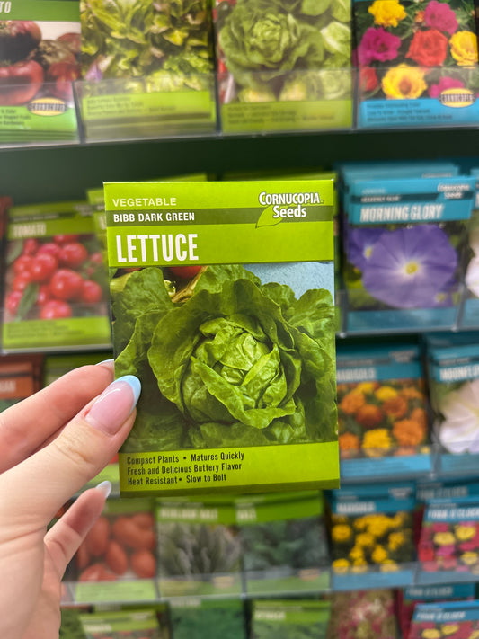 Bibb Dark Green Lettuce