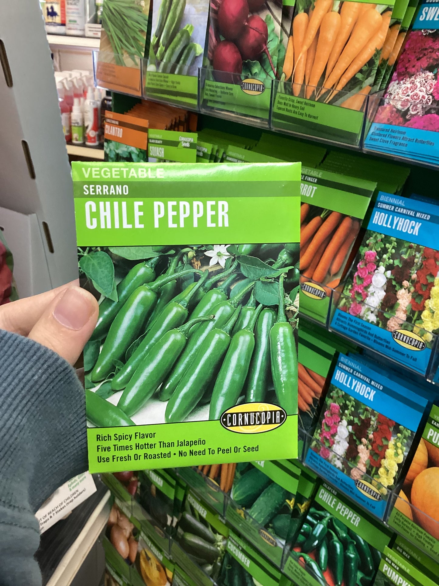 Serrano Chile Pepper