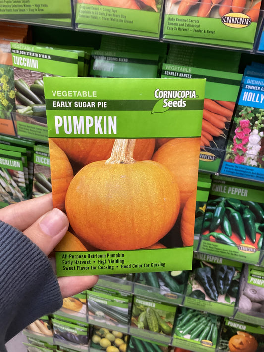 Early Sugar Pie Pumpkin