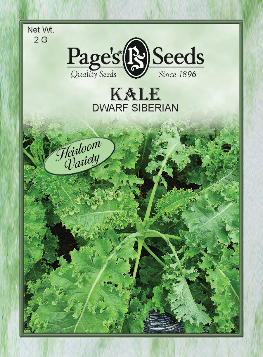 Kale