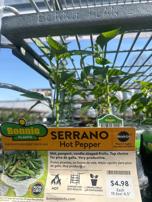 Bonnie Serrano Hot Pepper Cup