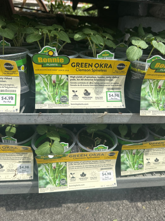 Bonnie Green Okra Clemson Spineless