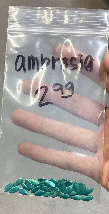 Ambrosia Cantaloupe Seeds