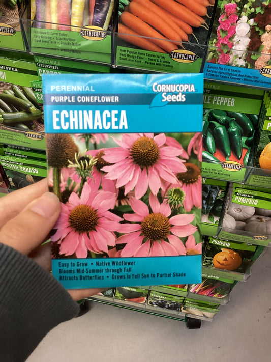 Echinacea