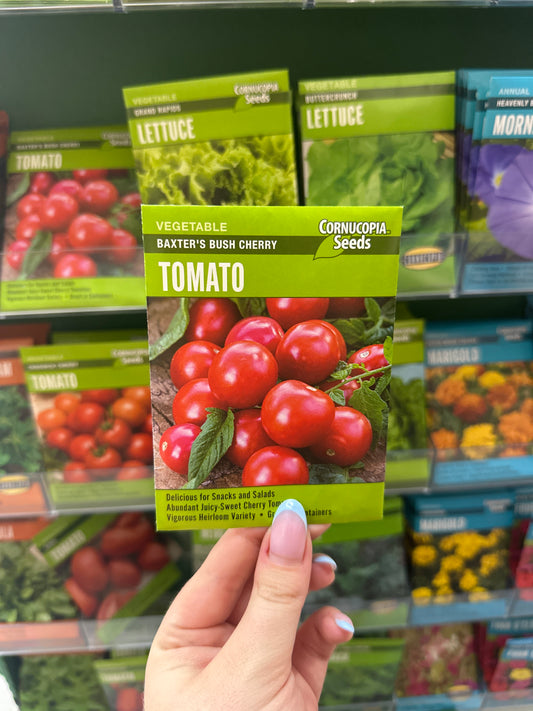 Baxters Bush Cherry Tomato