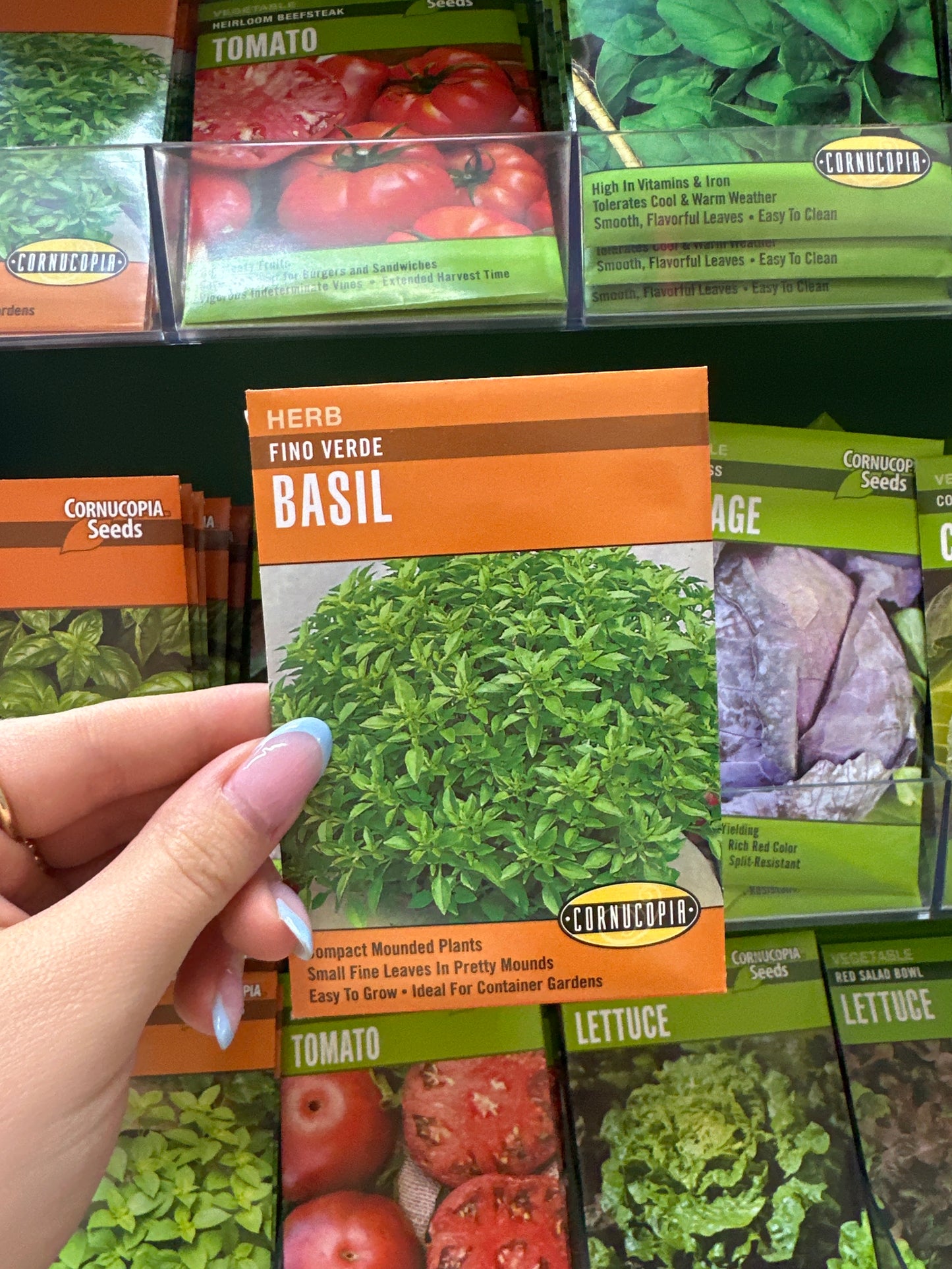 Fino Verde Basil
