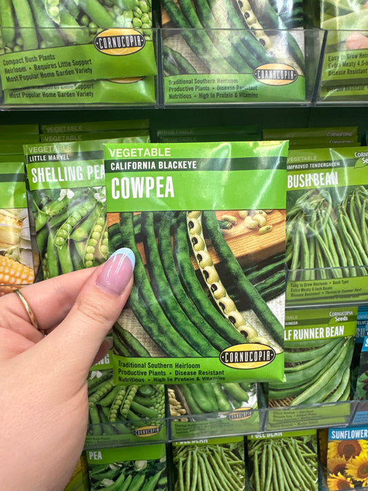 California Blackeye Cowpea