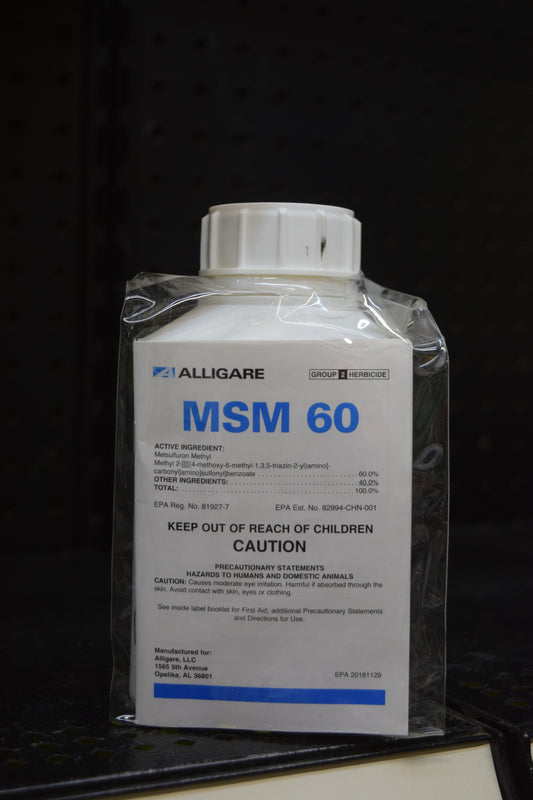 MSM 60