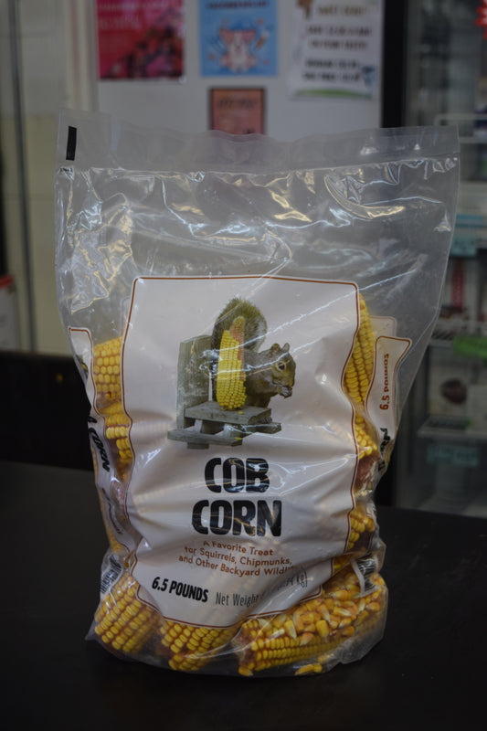 Cob Corn