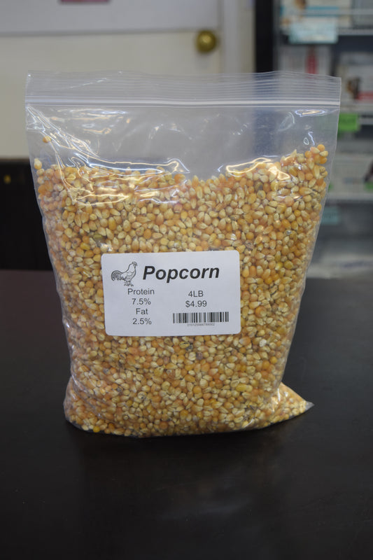 Popcorn