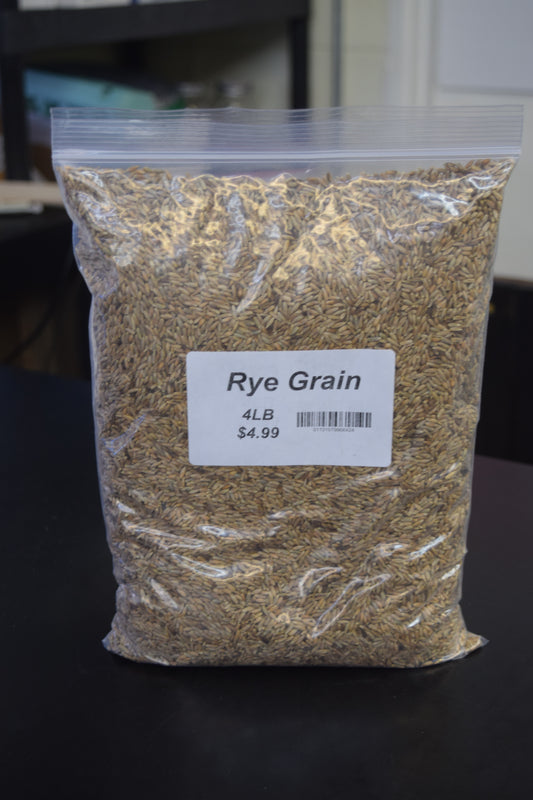 Rye Grain