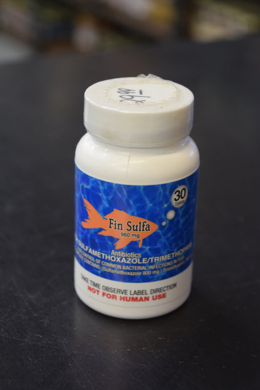Fish Fin Sulfa - SMZ/TMP 960mg