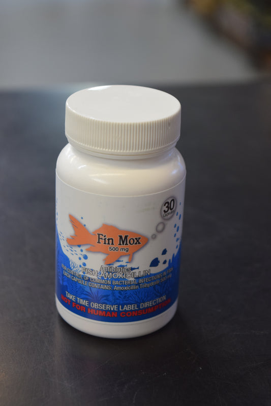 Fin Mox Amoxicillin 500 Mg Fish Antibiotic