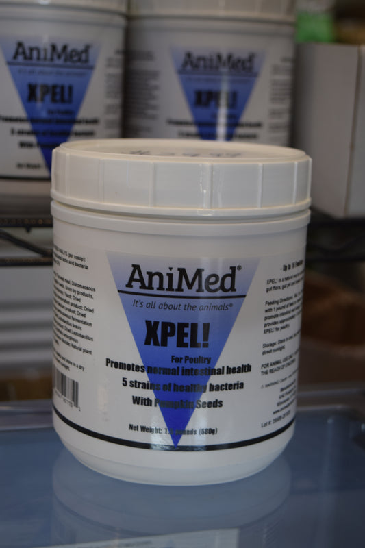 AniMed Xpel!